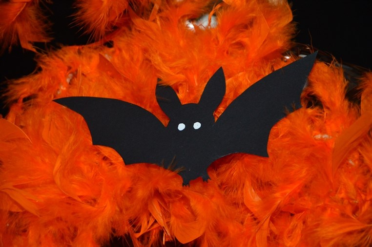 Le Chic Du Bal Masque 